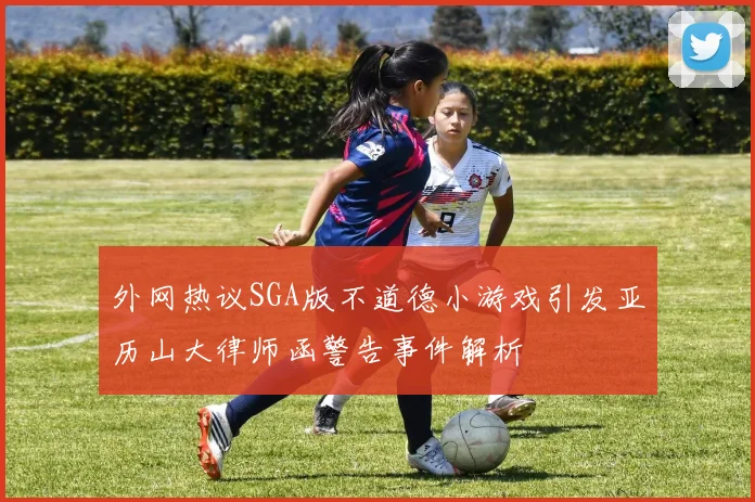 外网热议SGA版不道德小游戏引发亚历山大律师函警告事件解析
