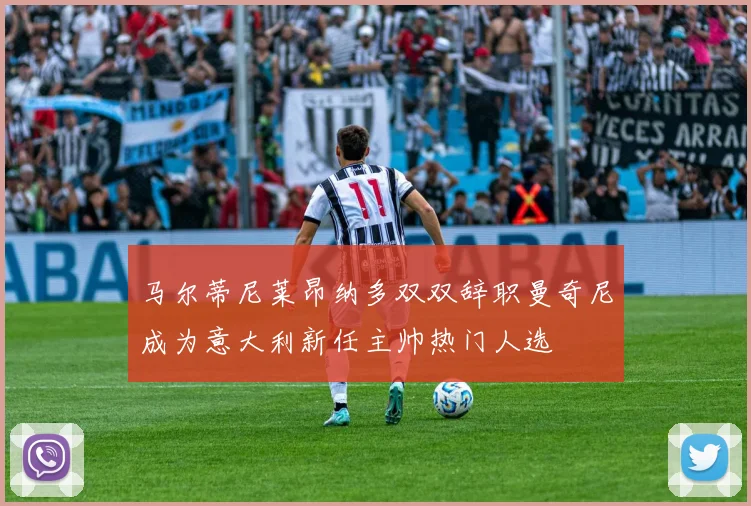 马尔蒂尼莱昂纳多双双辞职曼奇尼成为意大利新任主帅热门人选